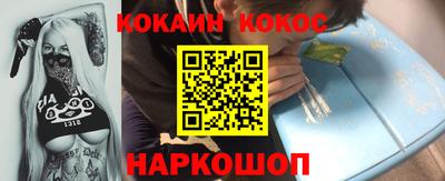 крисы Моздок