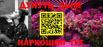 крисы Моздок