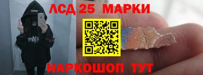 крисы Моздок