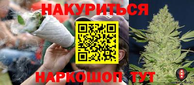 крисы Моздок
