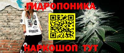 МДПВ Можга