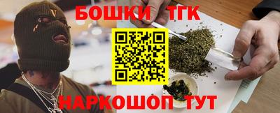 крисы Моздок