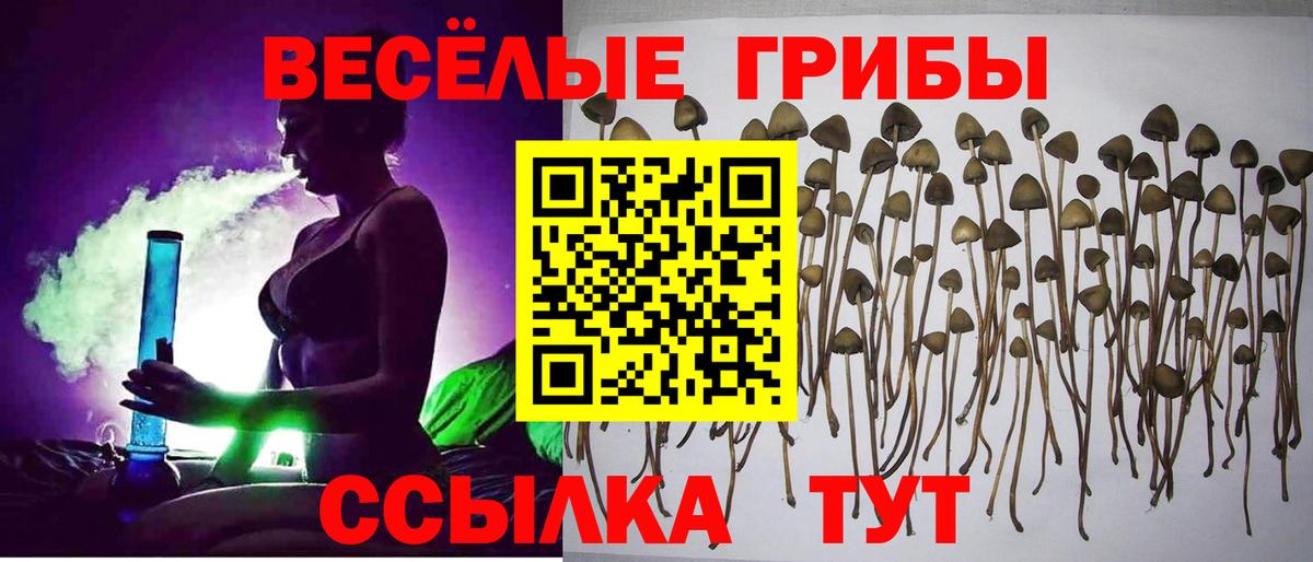 Галлюциногенные грибы мухоморы Электрогорск
