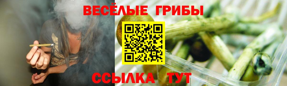 Псилоцибиновые грибы Электрогорск